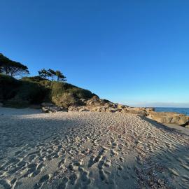 Appartement Jardin de la Mer, hotel a Linguizzetta