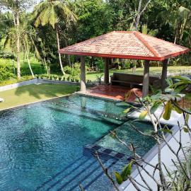 Villa Grove Shadow