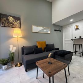 Chic duplex Lyon avec terrasse