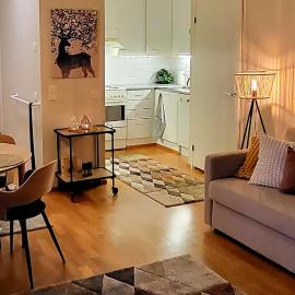 Great apartment in Vantaa close to the airport, with Sauna!