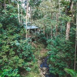 Narrows Escape Rainforest Retreat, hotel di Montville