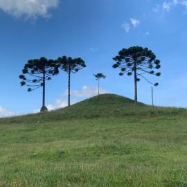 POUSADA FAZENDA PAIM, hotel in São José dos Ausentes