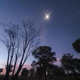 5 Star Off Grid Farm Retreat, hotel u gradu Stockinbingal