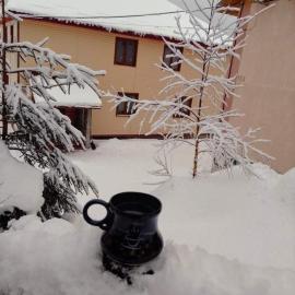 Червона Калина