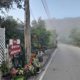 บ้านอังกาบ Aungkab homestay