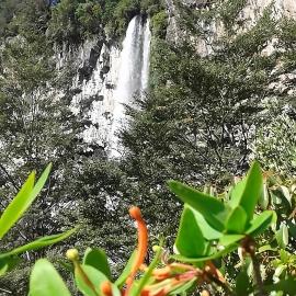 Corral del Agua, hotel a Curarrehue