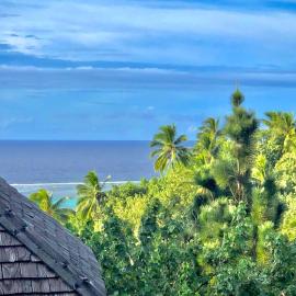 Irioa में, होटल Tropical Escape Villa - Comfort & Serenity Await!