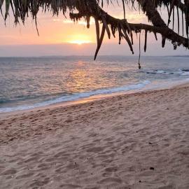 Coconut Tree hill Rekawa