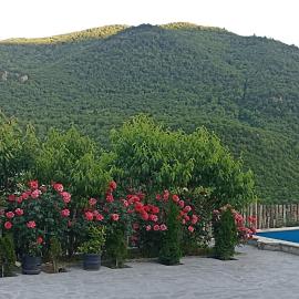Green garden Կանաչ այգի, khách sạn ở Ijevan