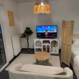 Studio Leman Ciel avec parking privé gratuit