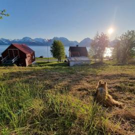 Basecamp Djupvik, Lyngen alps panorama, hotel en Engnes