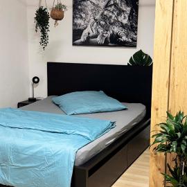 Zentrumnah inklusive Parkplatz Jungle-Suite by Simon - Ruheoase im Herzen von Saarbrücken!, hotel i Saarbrücken
