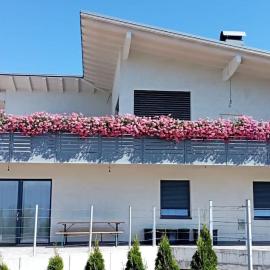 Appartamento Girasole