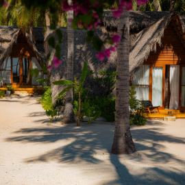 81 Palms Resort โรงแรมในเนมบราลา