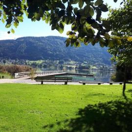 Seeappartement LUNA am Ossiachersee mit privatem Seezugang, Hallenbad, Skiarena Gerlitzen, hotel a Bodensdorf