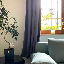 Helle 1-Zimmer Souterrainwohnung in ruhiger Lage!