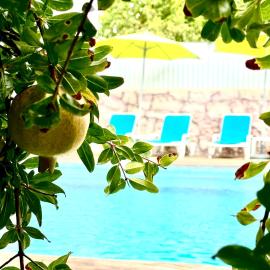 Hakuna Matata, hotel u gradu Cano