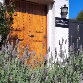 Casa Sua: Antelo şehrinde bir otel