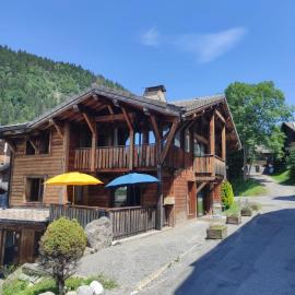 Chalet Robin - spa- multipass- terrain de pétanque