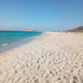 Theoni Apartments Kastraki Naxos