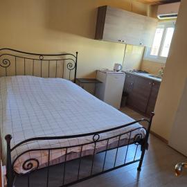 City Center Holiday room
