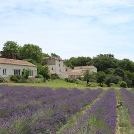 Les Ânes de Forcalquier, hotel in Forcalquier