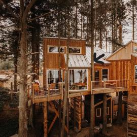 Treehouse-Small Eagles Perch over the water
