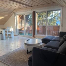 Ferienwohnung am See, hotel v mestu Eriskirch