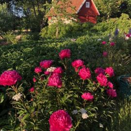 정크비히드에 위치한 호텔 Naturnära på Ängaröds 1700-tals gård