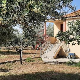 Ελαια: Marathopolis şehrinde bir otel