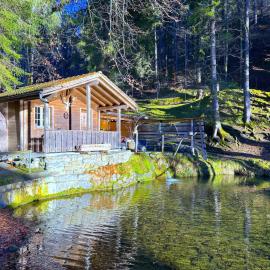 Idyllic Farm Cabin with Scenic Views and Concierge by SwissHut، فندق في سيغريسويل