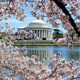 Convenient Studio Apartment in Shepherd Park, DC