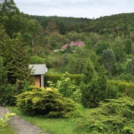 Kleines Haus am Wald
