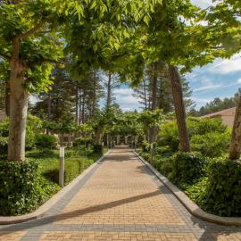Confluent Health Resort, hotell sihtkohas Cofrentes