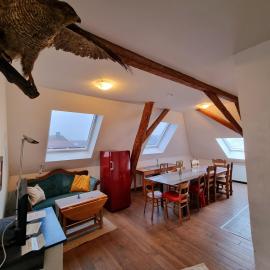 Ferienwohnung über den Dächern im alten Pastorat