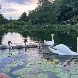 TRANQU'ILL sur les berges de l'Ill