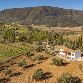 Nice Home In Algodonales, hotel in Algodonales