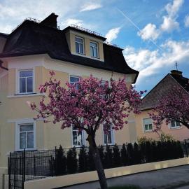 Villa Kreuzbergl - Doppelzimmer, hotel in Klagenfurt