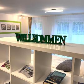 1-Zimmer Apartment in Ochsenfurt