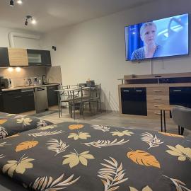 1-room apartment center Rajecké Teplice