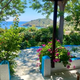 Studios Ioanna Limnionas Samos