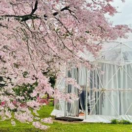 해밀턴에 위치한 호텔 Flowerhaven - glamping dome