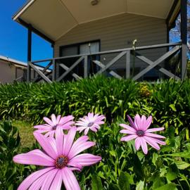 Eaglehawk Park Canberra, hotel a Canberra