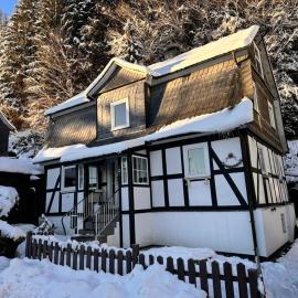 Viesnīca Waldtraum Lodge Winterberg für 10 Personen mit Garten und Grill Vinterbergā