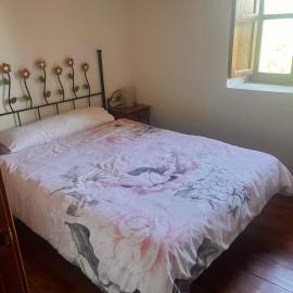 Apartamento la Espasa confortllanes