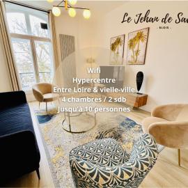 Hypercentre, quai de Loire, lumineux, spacieux, familial, le Jehan de Saveuse, Hotel in Blois