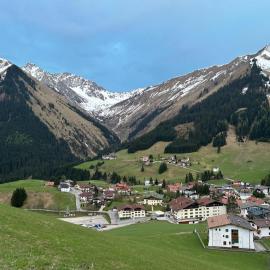 Bienenblick
