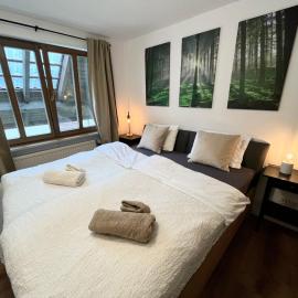 Schwarzwald Apartment mit Sauna 2 Zimmer frisch renoviert