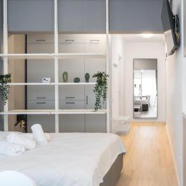 Springview Studio