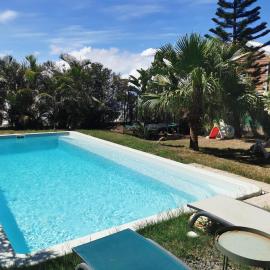 L'Araucaria